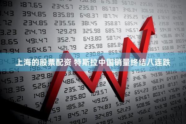 上海的股票配资 特斯拉中国销量终结八连跌