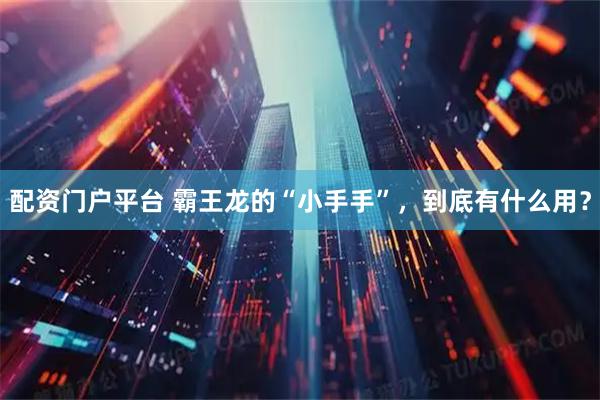 配资门户平台 霸王龙的“小手手”，到底有什么用？